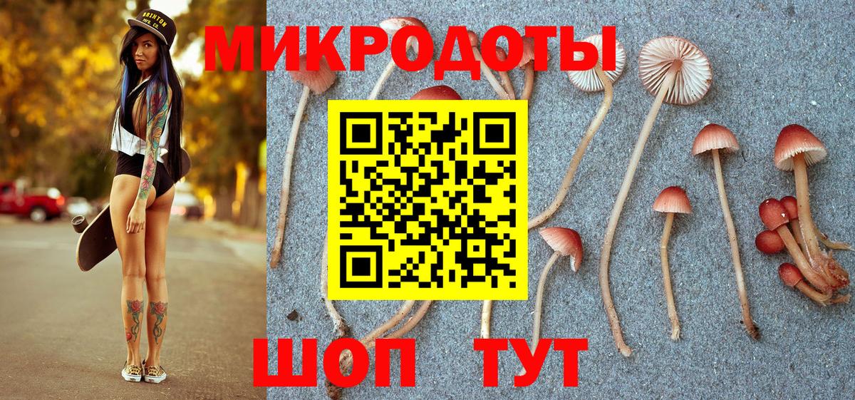 Псилоцибиновые грибы Psilocybine cubensis Людиново