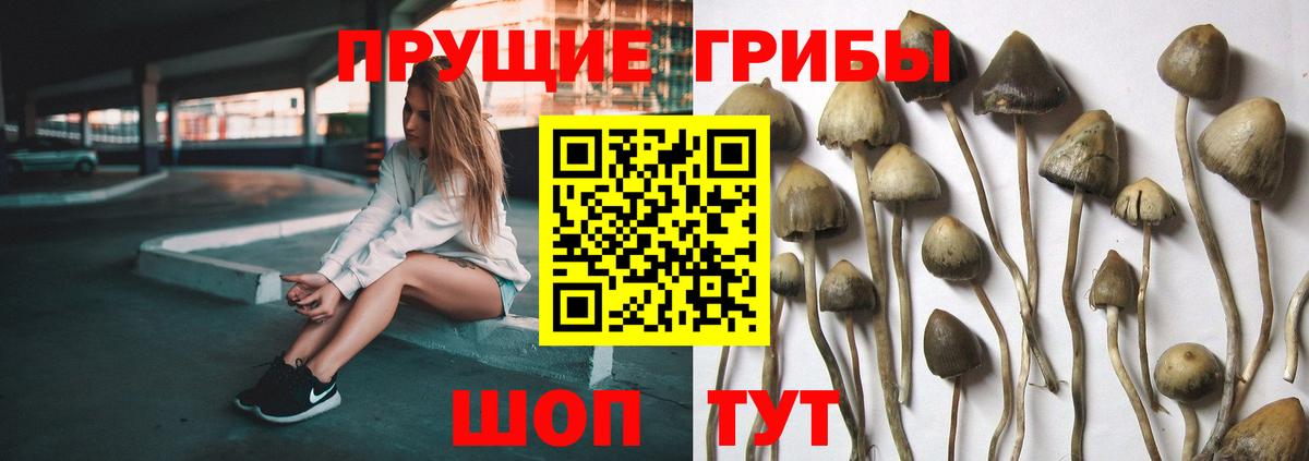 Людиново  Псилоцибиновые грибы MAGIC MUSHROOMS  Галлюциногенные грибы мухоморы  Вход с VPN 
